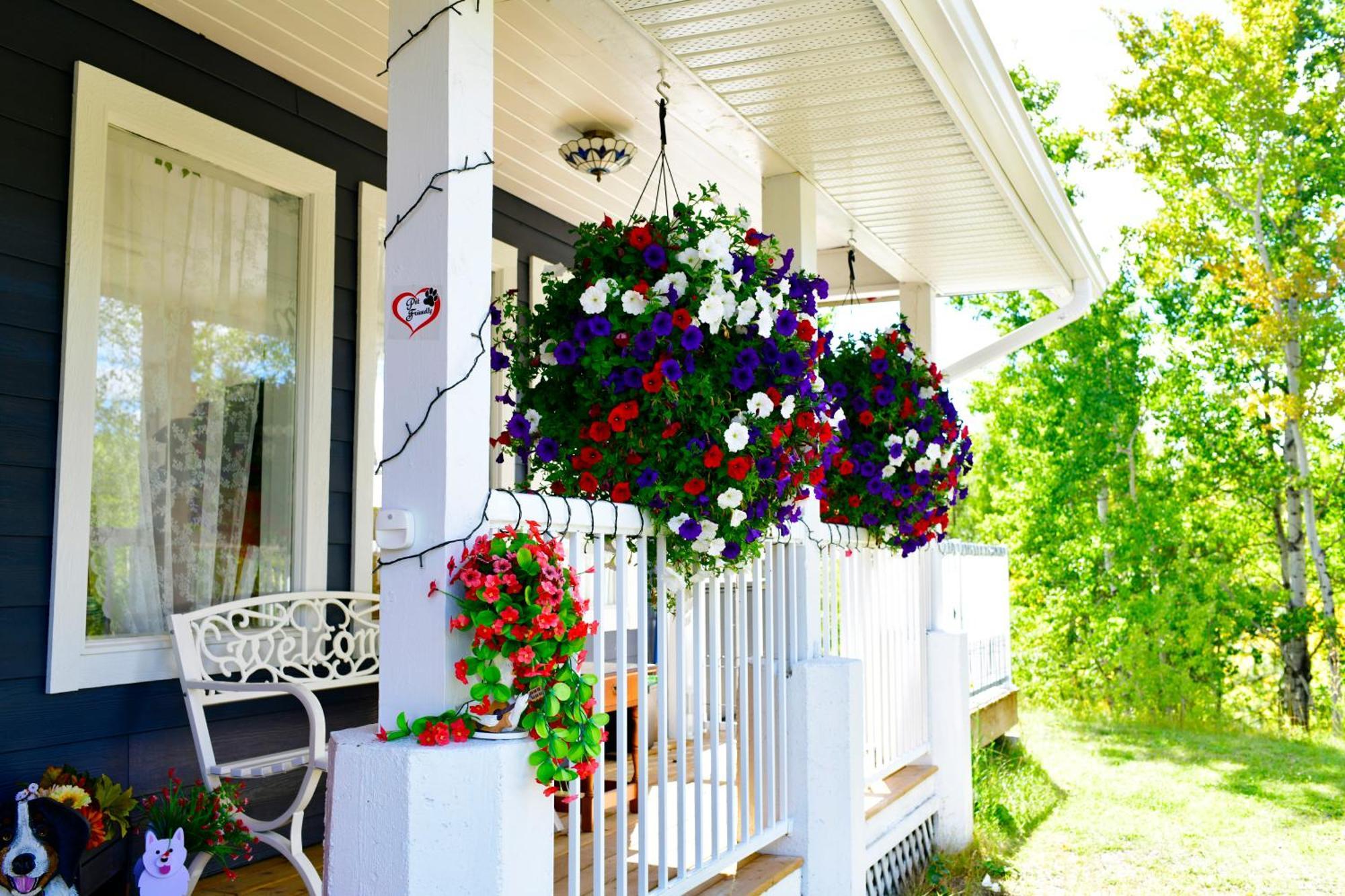The Blue Cottage B&B Seventy Mile House Exterior photo